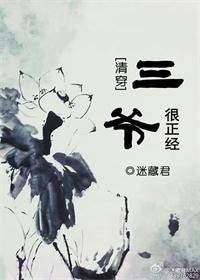 （综同人）[清穿]三爷很正经